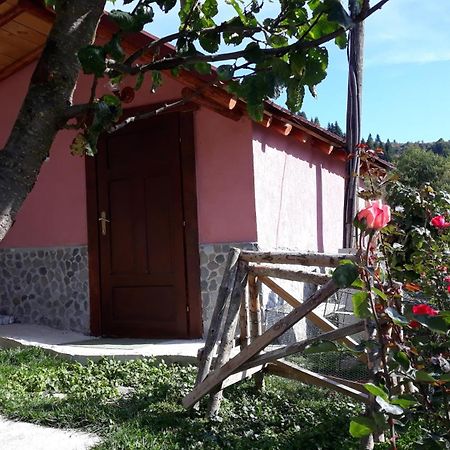 Villa Vrbena Dış mekan fotoğraf