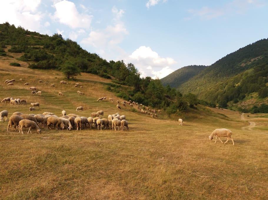 Villa Vrbena Dış mekan fotoğraf