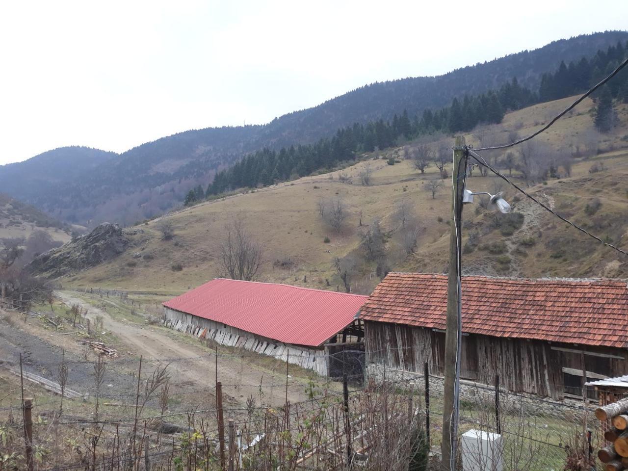 Villa Vrbena Dış mekan fotoğraf