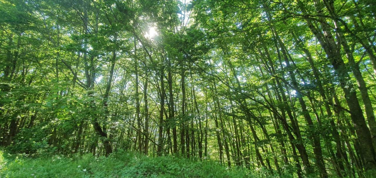 Villa Vrbena Dış mekan fotoğraf