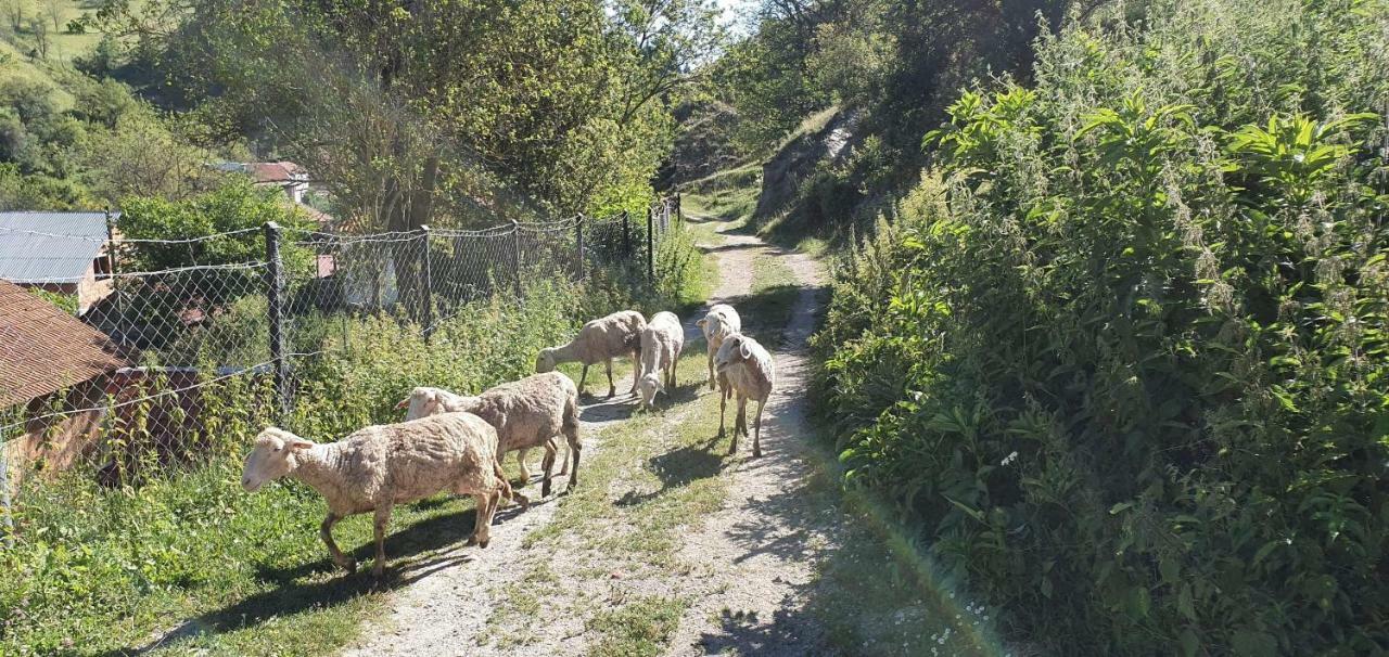 Villa Vrbena Dış mekan fotoğraf