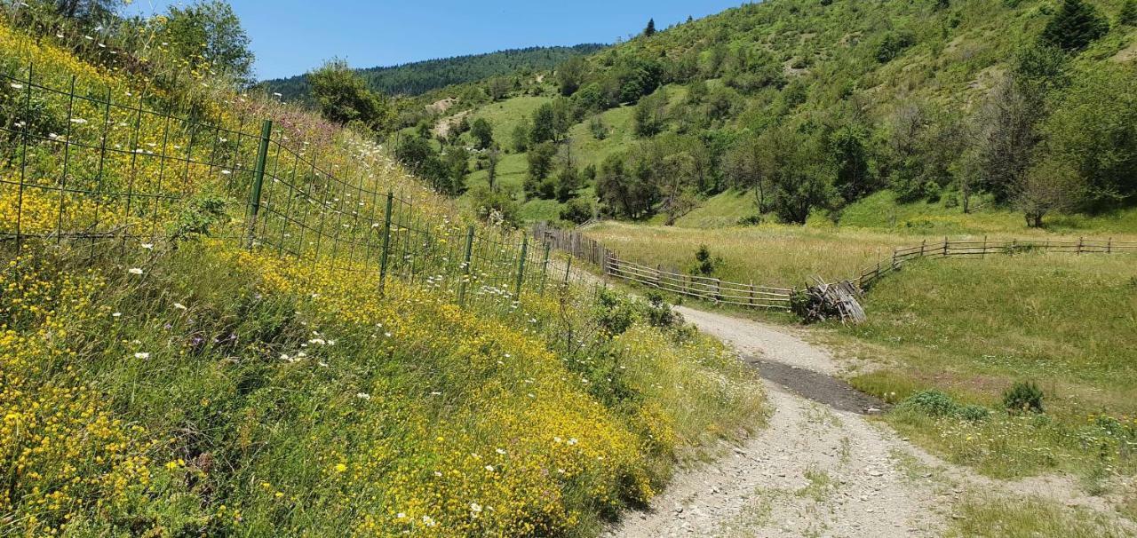 Villa Vrbena Dış mekan fotoğraf